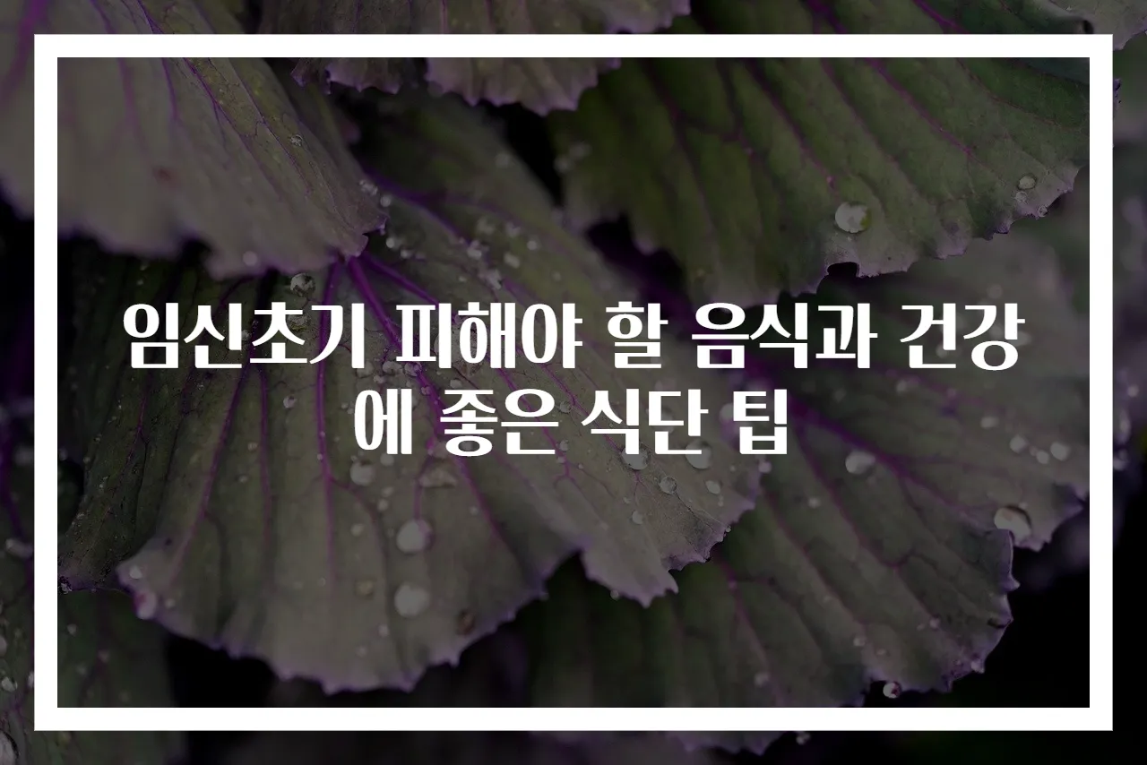 임신초기 피해야 할 음식과 건강에 좋은 식단 팁