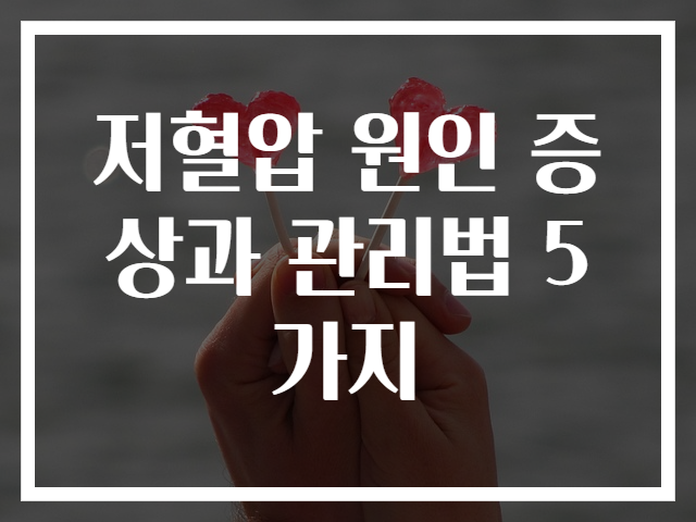 저혈압 원인 증상과 관리법 5가지