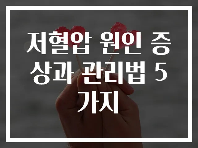 저혈압 원인 증상과 관리법 5가지