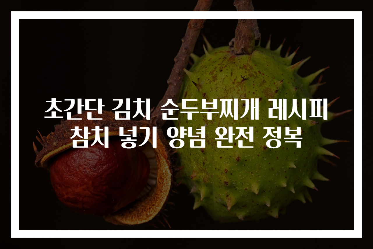 초간단 김치 순두부찌개 레시피 참치 넣기 양념 완전 정복