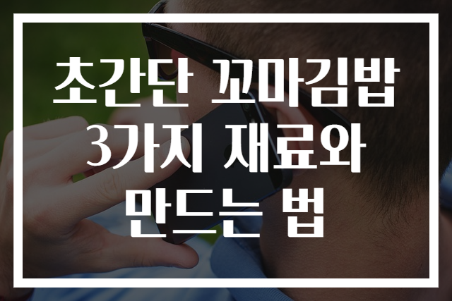 초간단 꼬마김밥 3가지 재료와 만드는 법
