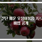초간단 매운 오징어볶음 3단계 비법 공개