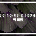 초간단 하얀 빨간 콩나물무침 완벽 비법