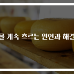 콧물 계속 흐르는 원인과 해결법