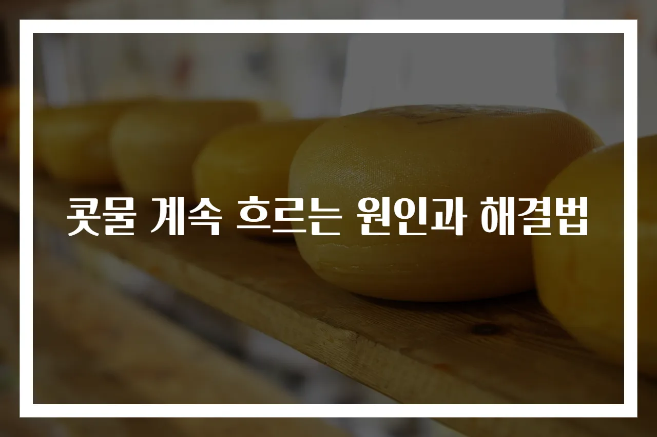 콧물 계속 흐르는 원인과 해결법