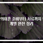 합의이혼 준비부터 서류까지 단계별 완전 정리