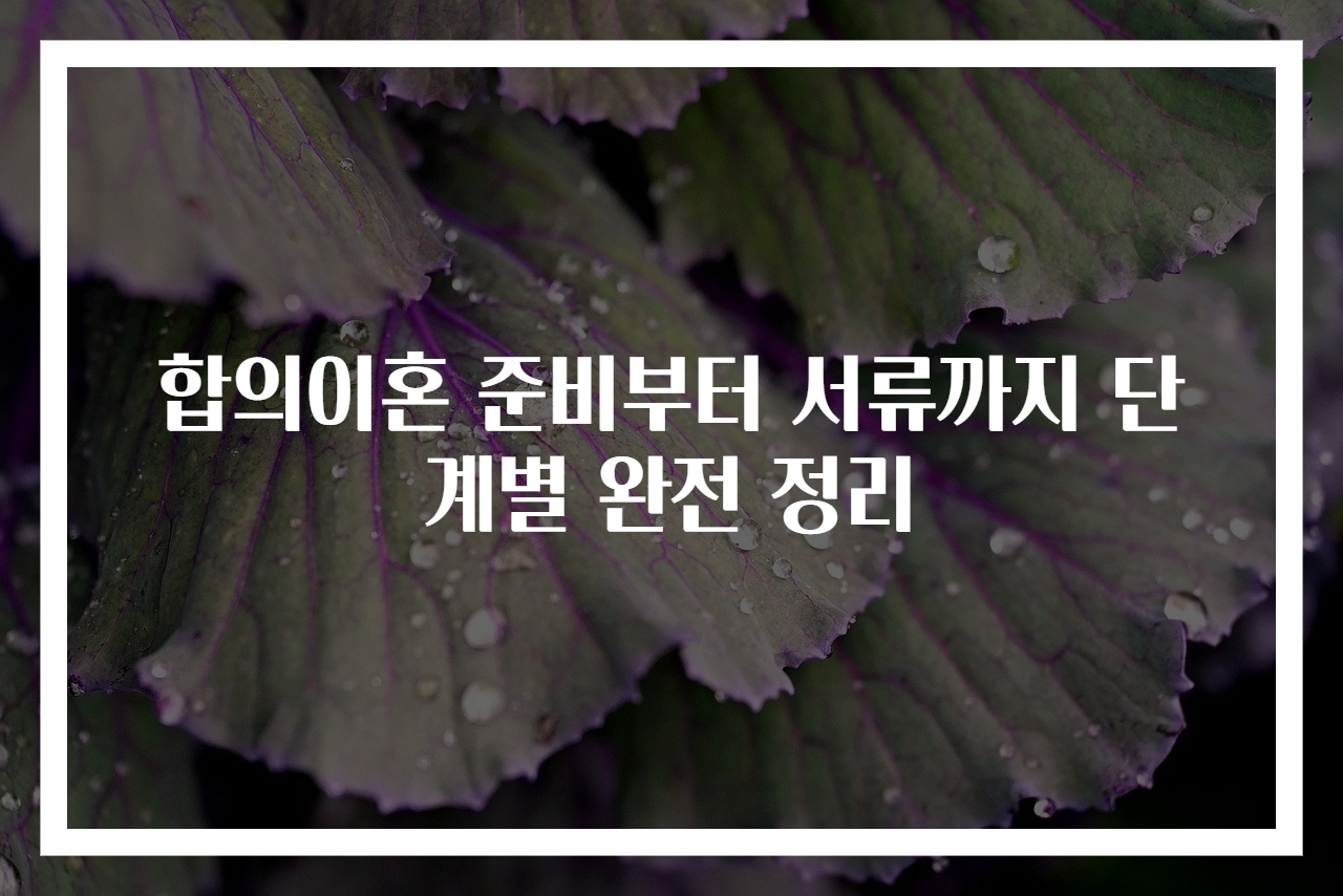 합의이혼 준비부터 서류까지 단계별 완전 정리