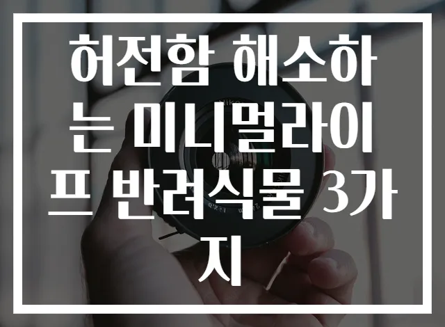 허전함 해소하는 미니멀라이프 반려식물 3가지
