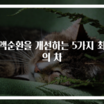 혈액순환을 개선하는 5가지 최고의 차