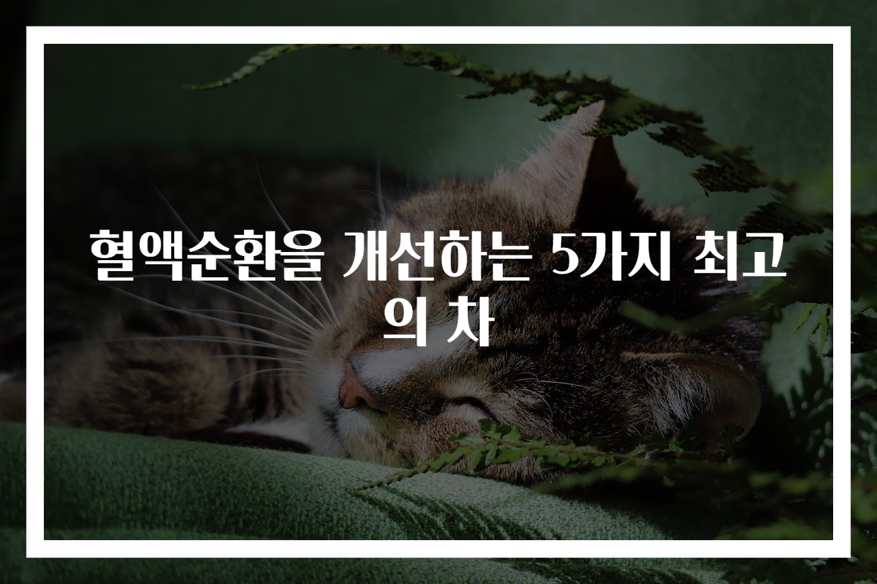 혈액순환을 개선하는 5가지 최고의 차