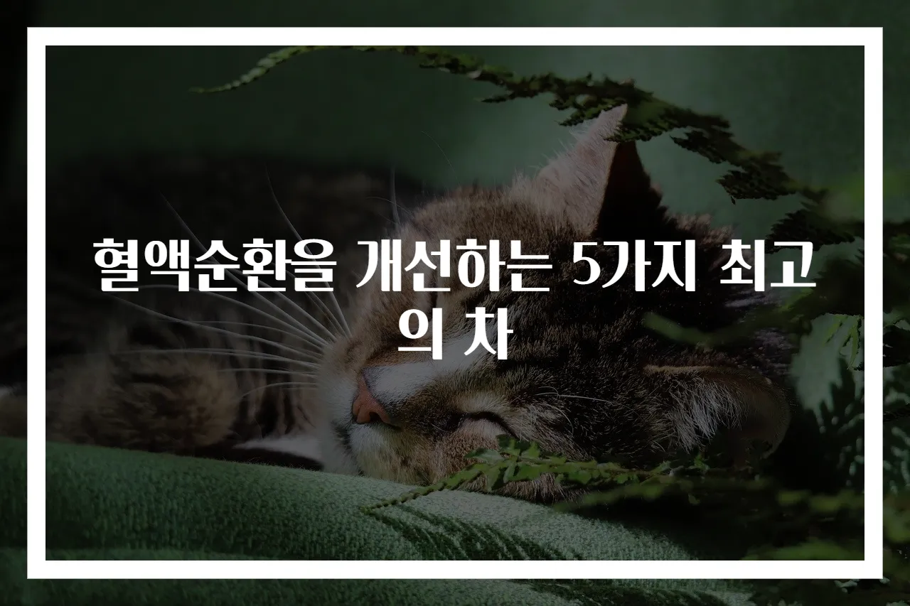 혈액순환을 개선하는 5가지 최고의 차